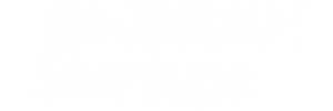 Sebrae Startups